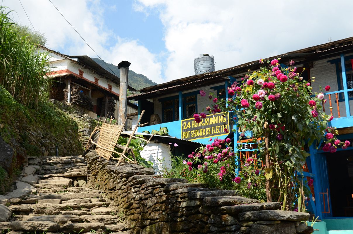 Nayapul To Ghorepani 19 Walking Through Ulleri 